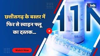 Chhattisgarh News || छत्तीसगढ़ के Bastar में फिर से Swine Flu का दस्तक... || News update
