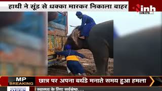 Haathi Mere Saathi || हाथी ने सूंड से धक्का मारकर तीन ट्रकों को कीचड़ से निकाला बाहर || देखिए Video
