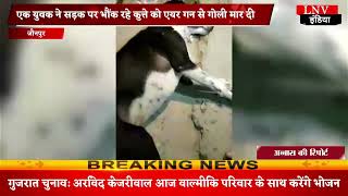 जौनपुर : एक युवक ने सड़क पर भौंक रहे कुत्ते को एयर गन से गोली मार दी