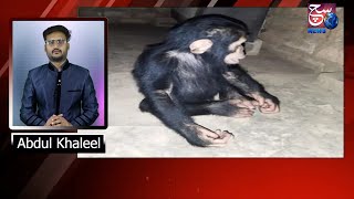 chimpanzee Ke Bachey Kidnap Kar Ke Bhari Raqam Ka Kiya Mutaleba | INTERNATIONAL NEWS | 25-09-2022 |
