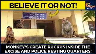 Believe it or not! Monkey's create ruckus inside the excise and police resting quarters!