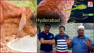 Kya Hyderabad Ke Jaawaron Mein Hai Yeh Bimari | Lumpy Skin Disease | Qureshi Ka Bayan |@Sach News