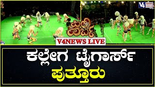 ಕುಡ್ಲದ ಪಿಲಿ ಪರ್ಬ 2022 || ಕಲ್ಲೇಗ ಟೈಗಾರ್ಸ್ ಪುತ್ತೂರು || V4news Live