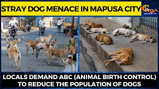 Stray dog menace in Mapusa city.
