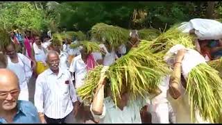 The festival of ‘Nave' celebrated by the Villagers of Mayem