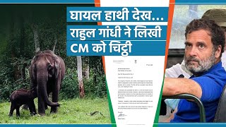 जब Tiger Reserve में Rahul Gandhi ने देखा घायल हाथी का बच्चा, Karnataka के CM को लिखी चिट्ठी