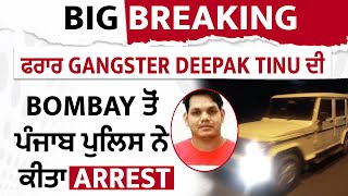 Big Breaking- ਫਰਾਰ Gangster Deepak Tinu ਦੀ Girlfriend ਨੂੰ Bombay ਤੋਂ ਪੰਜਾਬ ਪੁਲਿਸ ਨੇ ਕੀਤਾ Arrest
