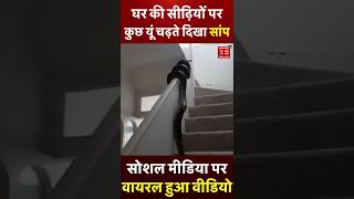 Viral Video: घर की सीढ़ियों पर कुछ यूं चढ़ते दिखा सांप | #shorts