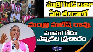 Minister Harish Rao Munugodu Election Campaign | TRS | KCR | KTR | Munugodu By poll | Top Telugu TV