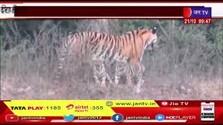 Ranthambore Tiger Reserve | एक और टाइगर हो सकता है मुकुंदरा शिफ्ट, वन विभाग कर रहा शिफ्टिंग की कवायद