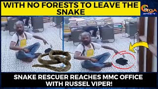With no forests to leave the snake. Snake rescuer reaches MMC office with Russel Viper!