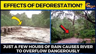 Effects of deforestation? Just a few hours of rain causes river to overflow dangerously