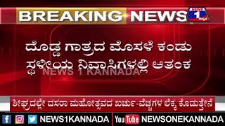 ಧಾರಾಕಾರ ಮಳೆ ಹಿನ್ನೆಲೆ ಮೈಸೂರಿನಲ್ಲಿ ಪ್ರತ್ಯಕ್ಷಗೊಂಡ ಮೊಸಳೆ| Mysuru | News 1 Kannada