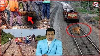 4 Saala Sher Aaya Train Ke Zad Mein | Junglee Hayat Se Mohabbat Karne Walo Ka Mutaleba ? |@Sach News