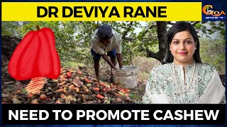 Need to promote cashew says Deviya Rane