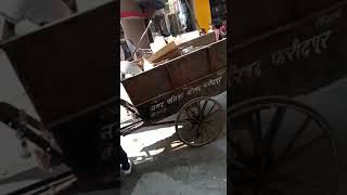 वायरल वीडियो: नगर पालिका फरीदपुर के कर्मचारी बने हैवान, रस्सी बाँध खींचा कुत्ते को
