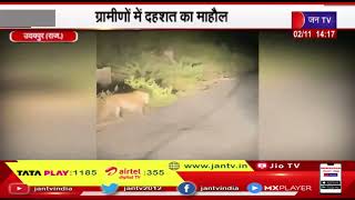 Udaipur News | एक बार फिर दिखाई दिया तेंदुआ, ग्रामीणों में दहशत का माहौल | JAN TV