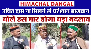 Himachal Dangal : उचित दाम ना मिलने से परेशान बागवान, बोले इस बार होगा बड़ा बदलाव