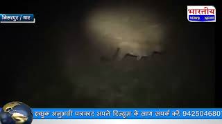 #kukshi : फिर क्षेत्र में नजर आया तेंदुआ, रात्रि गस्त में पुलिस ने बनाया वीडियो। #bn #mp #dhar
