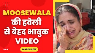 UK girl crying for sidhu moosewala - Tv24 Punjab News