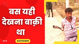 Nabha News - cow and villagers - Tv24 punjab News