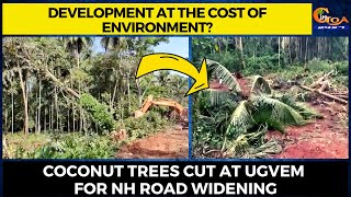 Development at the cost of environment? Coconut trees cut at Ugvem for NH road widening