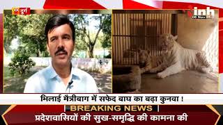 Maitri Bagh में बढ़ी सफेद बाघ की संख्या, सैलानीयो के बिच बना आकर्षण का केन्द्र | White Tiger | Durg