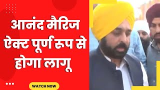 Bhagwant mann announces implementation of Anand marriage act on gurupurab - Tv24 Punjab News