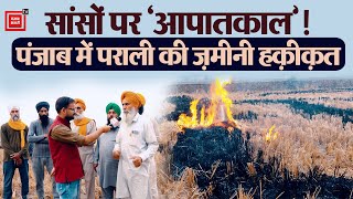 पराली जलाने को क्यों मजबूर हैं पंजाब के किसान?, देखिए Patiala से ग्राउंड रिपोर्ट