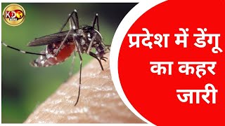 प्रदेश में डेंगू का कहर जारी, डेंगू के रोकथाम के लिए अभियान की शुरूआत | LUCKNOW | KKD News LIVE