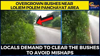 Overgrown bushes near Loliem Polem panchayat. Locals demand to clear the bushes to avoid mishaps