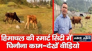 Himachal | Animal Cruelty | Dharamshala |