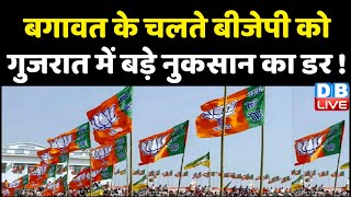 बगावत के चलते BJP को Gujarat में बड़े नुकसान का डर ! Bhupendra Patel | Gujarat Election | #dblive