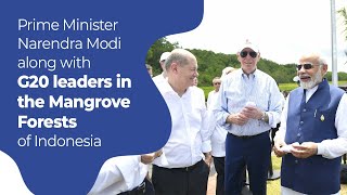 Prime Minister Narendra Modi along with G20 leaders visits Mangrove Forests, Indonesia l PMO