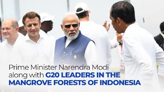 Prime Minister Narendra Modi along with G20 leaders in the Mangrove Forests of Indonesia l PMO