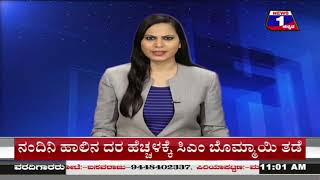 11 AM Mysore News Updates | 15-11-2022 | Latest News | News 1 Kannada | ನ್ಯೂಸ್‌1 ಕನ್ನಡ LIVE | Mysore