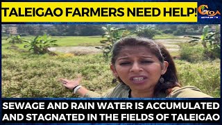 Taleigao Farmers Need Help! Sewage & Rain Water is accumulated & Stagnated in the Fields of Taleigao