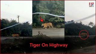 Highway Par Nikla Ek Bada Sher | Awaam Mein Machi Dehshat | Telangana |@Sach News