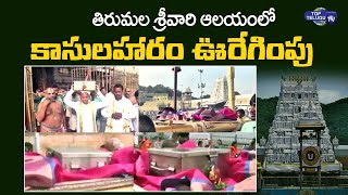 తిరుమల శ్రీవారి ఆలయంలో కాసులహారం ఊరేగింపు.. || Tirumala Tirupati Latest Updates || Top Telugu TV