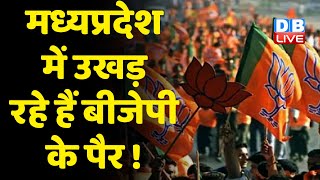 Madhya Pradesh में उखड़ रहे हैं BJP के पैर ! Congress Bharat Jodo Yatra का आज 79वां दिन | #dblive
