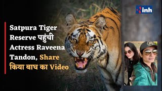 Satpura Tiger Reserve पहुंची Actress Raveena Tandon || Twitter Account पर  Share किया बाघ का Video
