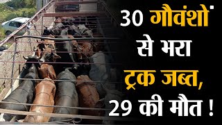 30 गौवंशों से भरा ट्रक जब्त, 29 की मौत #sudarshanuk