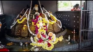 ಪಡುಬಿದ್ರಿ ಪಾದೆಬೆಟ್ಟು ಸುಬ್ರಹ್ಮಣ್ಯ ದೇವಳದಲ್ಲಿ ಷಷ್ಠಿ ಸಂಭ್ರಮ | padebettu subhramanya temple