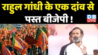 Rahul Gandhi के एक दांव से पस्त BJP ! Rajasthan में Bharat Jodo Yatra की तैयारियां हुईं तेज |#dblive
