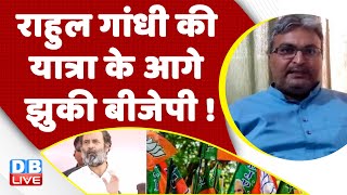 Rahul Gandhi की यात्रा के आगे झुकी BJP ! Congress Bharat jodo yatra | Rahul Gandhi | #dblive #news