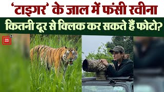 Raveena Tondon और Tiger Reserve पर असली विवाद क्या है ?