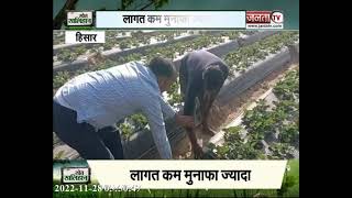 Khet Khalihan |जाने स्ट्रॉबेरी की खेती करने का तरीका और मुनाफे के बार में | Janta TV