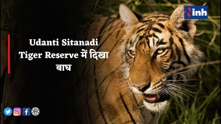 Udanti Sitanadi Tiger Reserve में दिखा बाघ, Forest Department के कैमरे में कैद हुई तस्वीरें...