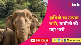 INH 24X7 EXCLUSIVE : हाथियों का उत्पात जारी, ग्रामीणों को पड़ा भारी | Elephant | Jashpur | CG
