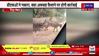 Kaimur News | खुले में घूमते शेर का वीडियो वायरल, डीएफओ ने नकारा, कहा अफवाह फैलाने पर होगी कार्रवाई